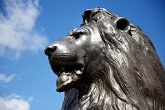 IMG_0028   Magnificent lion : lion, London, magnificent, pensive, pride, protect, proud, roar, statue, Trafalgar Square