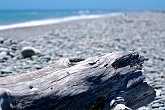 IMG_2089   trunk : beach, branch, log, New Zealand, NZ, pebbles, tree, trunk, wood