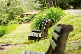 IMG_1419   benches : bench, botanical, dunedin, gardens, New Zealand, NZ, rest, seat